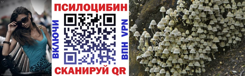 площадка формула  Гудермес  Галлюциногенные грибы мухоморы  как найти закладки 
